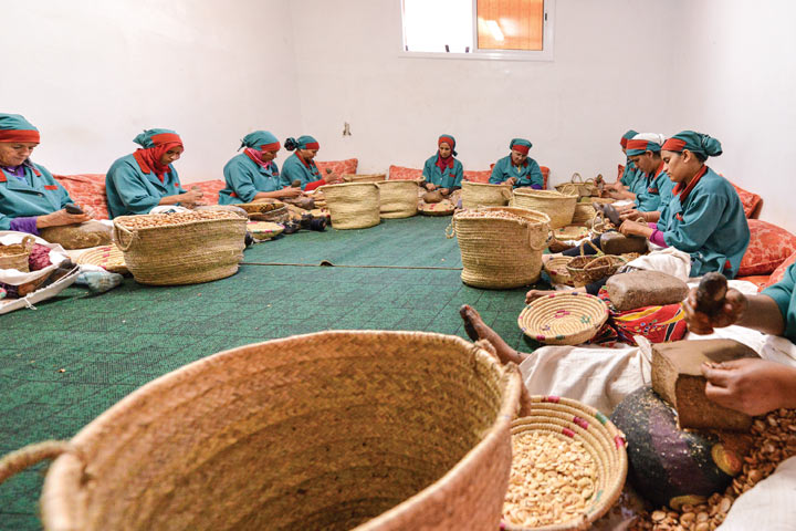 Femmes et changement climatique